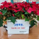 그린화원 미디어투데이