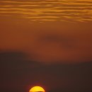 남해일식 이미지