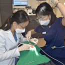 서울행복치과의원 이미지