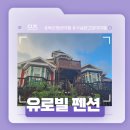 경주 보문단지 펜션 추천 - 유로빌펜션 솔직후기! (고양이많음)