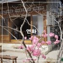 연화 | 경주 감성카페 연화 후기 벚꽃 몽블랑 솔직 리뷰