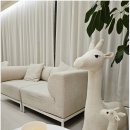 연세아이편한치과의원 이미지