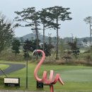 플라밍고 | 당진 골프장, 플라밍고CC 라운딩 후기