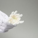 진주상조 이미지