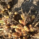 성림농장 이미지