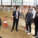 대전승마장 이미지