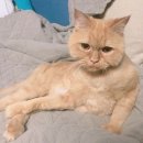 토르농장 이미지