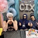 씨아이엑스 카카오 검색결과