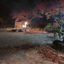 복골농장 이미지