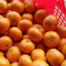 그린농장 이미지