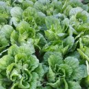 완주농약사 이미지