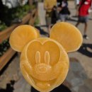 요선마을 | [일본] 도쿄 디즈니씨 오픈런 준비사항 놀이 기구 8개 탑승 후기