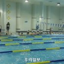 고창군 청소년수련관 실내수영장 이미지