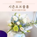 수암초등학교 | 울산 남구 꽃집 시즌오브블룸 당일예약 가능한 부모님 기념일 꽃다발