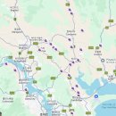 신기 P.S | 워홀 D+45~59 타즈매니아 포도 농장 구직 성공 | 한인 쉐어하우스 구하기 (P.S 죽으라는 법은 없다..)