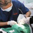 미담치과기공소 이미지