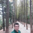 옹기골근린공원 이미지