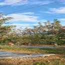 해전농장 이미지