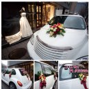 양지-2752 이미지