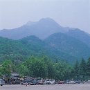 금오산 Daum카페