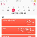 빅투아 이미지