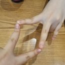 시츄언니 이미지