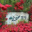 양평글램핑 산음캠핑 솔직후기