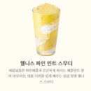 피치스 | 커피☕- 여름 신메뉴/호주 음료 신메뉴/ 플랫 화이트 커피, 웰니스 스무디, 쿨피치스 음료/ 실제 구매 후기
