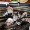 부자수산 티스토리