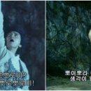 뽀로뽀로미