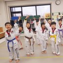 태권도덕진체육관 이미지