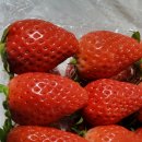 장희농장 이미지