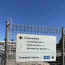 6161 | 호주퍼스 로트네스트 쿼카섬 다녀온 후기+방충망 꼭가져가세요!!