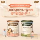 앱솔루트