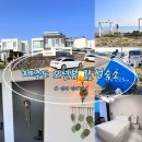 Y(와이)풀펜션 | 제주도 바다뷰 펜션 김녕 오션뷰 감성숙소 안녕 김녕 SEA 숙박후기