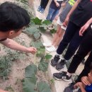 적중농장 이미지