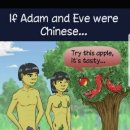 아담과이브 이미지