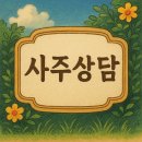 [도봉 사주상담 후기] 어린 시절부터 꽃피운 을목, 앞으로가 더 빛나는 사주
