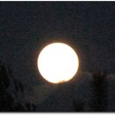 모항해수욕장 이미지