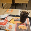 사상지하철역 5번출구 버거킹 앞 | 부산 벚꽃 명소 삼락생태공원, 첫 방문에 반해버린 이유(feat. 당일치기 부산 여행)