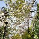 과천역 7번 출구(내점길) 이미지