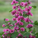 나를 찾아가는 사주명리학 이미지