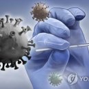 변이(미디어) 이미지