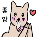 양양 슬로우웨이브 오션뷰 가족 펜션 이미지