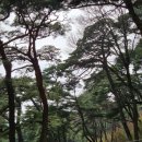 양산신-2018 | 경남 양산 통도사 가볼만한 곳 애견동반 가능 여부