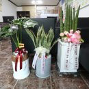 엠제이공인중개사사무소 이미지