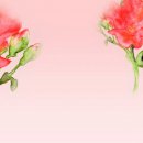 프래그난츠