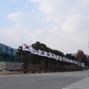 공공대전지사