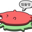 운악184 이미지