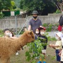 소백산마을농촌체험휴양마을 이미지